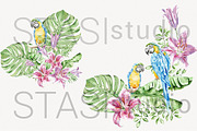 Tropical Parrots Watercolor Clipart, a Decorative Illustration by STASIstudio (Thumbnail 4 of 4)