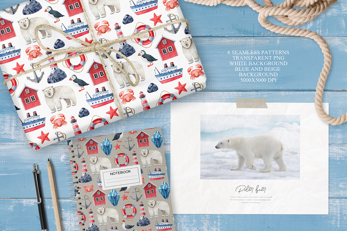 Northern Sea Watercolor Set, an Animal Illustration by Natalia Fedorova (Photo 7 of 16)