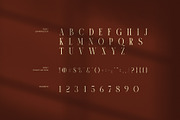 Zarova Luxury Serif Font, a Serif Font by Perfectype (Thumbnail 7 of 8)