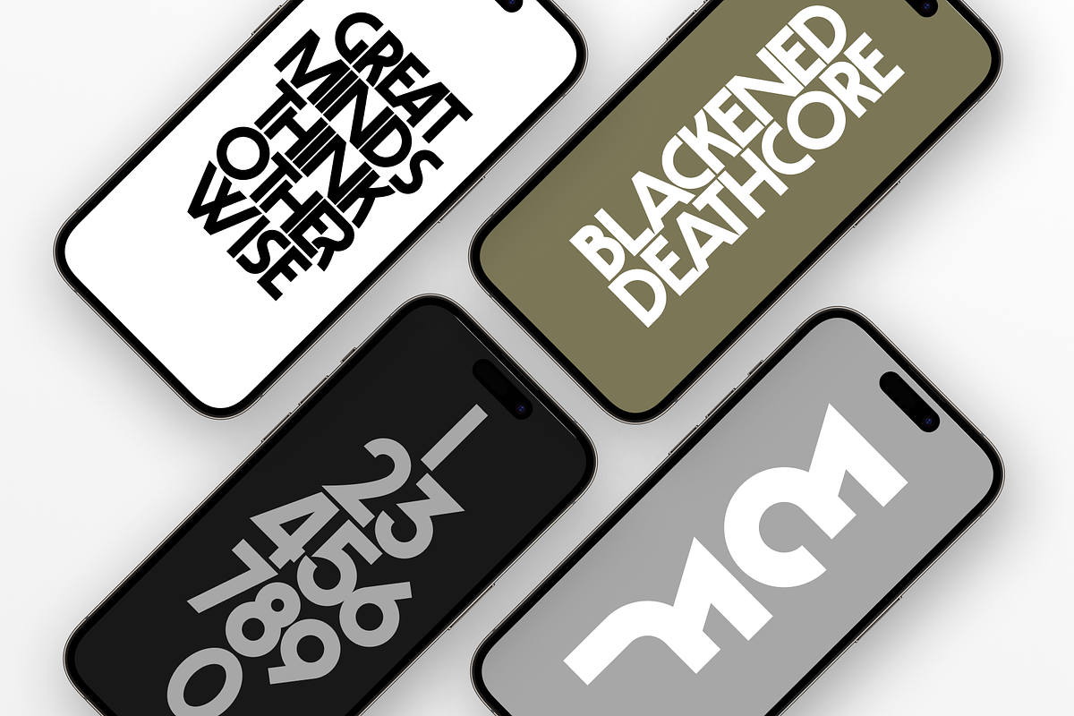 Leonidas Sans - Variable Weight Font, a Sans Serif Font by Eagle & Bison Design Co. (Photo 2 of 11)