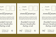 Arabella Rentharis Elegant Script, a Script Font by Letterena Studios Script (Thumbnail 3 of 10)