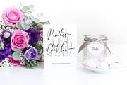 Fiolenitta, a Script Font by mightype (Thumbnail 6 of 8)