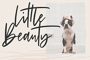 Sandcastle - Handwritten Script Font, a Script Font by KA Designs (Thumbnail 8 of 16)