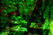 Dark green abstract,Spirit dark art, an Abstract Photo by Manis recycle abstract (Thumbnail 3 of 3)