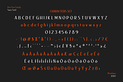 Ben Sans Serif Family, a Sans Serif Font by Motokiwo (Thumbnail 12 of 13)