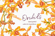 Orchids branch in botanical style, a Decorative Illustration by Ann Astro (Thumbnail 8 of 15)