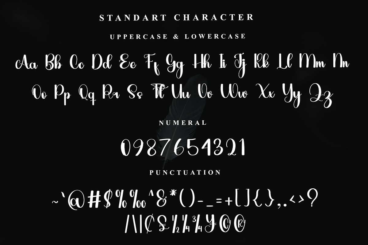 Budge, a Font by InermediaSTUDIO (Photo 2 of 7)