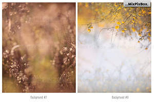 Autumn Portrait Backgrounds