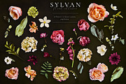 Sylvan Floral Clip Art Collection, an Object Graphic by Eclectic Anthology (Thumbnail 17 of 20)