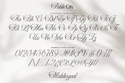 Public City Elegant Classic Font Duo, a Font by Pixesia Studio (Thumbnail 13 of 13)