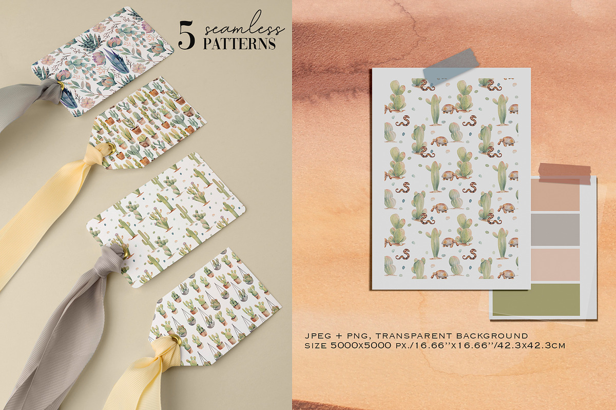 Cacti watercolor collection, an Object Illustration by Skliarova (Photo 7 of 10)