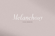 Aesthetic Styles - Tall Serif, a Serif Font by Sarid Ezra (Thumbnail 5 of 11)