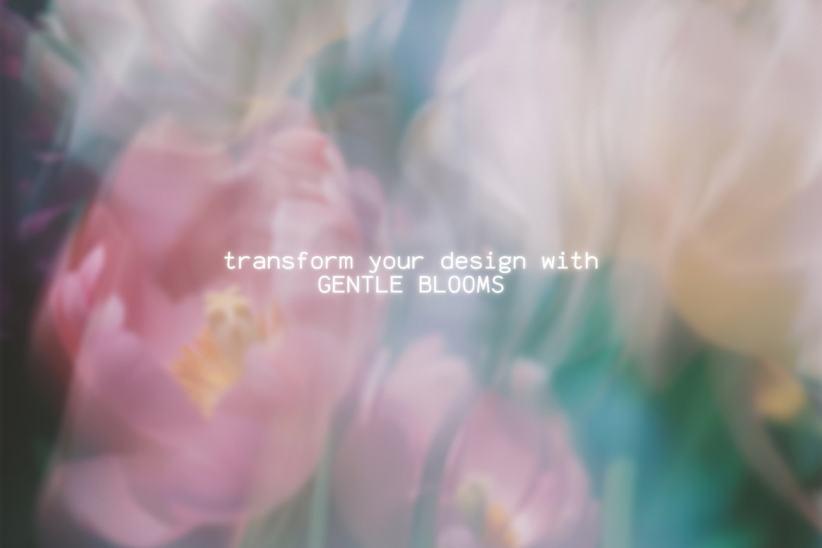 Blurred BLOSSOM backgrounds, a Background Graphic by lerinartstudio (Photo 13 of 13)