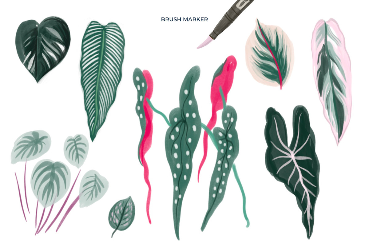 Markers Procreate Brush Set, a Brush Add-On by Insalata Illustrata (Photo 3 of 12)
