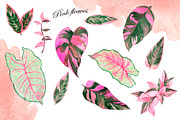 Watercolor jungle set, an Illustration by Watercolor & sketches (Thumbnail 6 of 13)