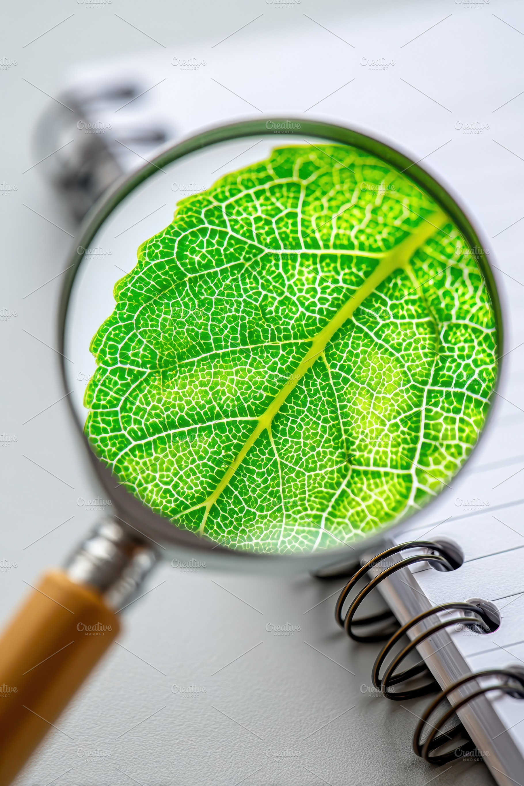 Magnified view of a green leaf with notebook, a Nature Photo by AlyaAnd