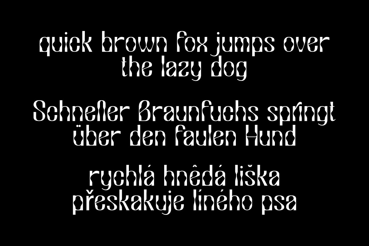 Collogue - Variable Font, a Font by HeyFonts (Photo 14 of 19)