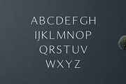 Maleah Sans Serif Fonts Family Pack, a Sans Serif Font by Creativetacos (Thumbnail 2 of 6)