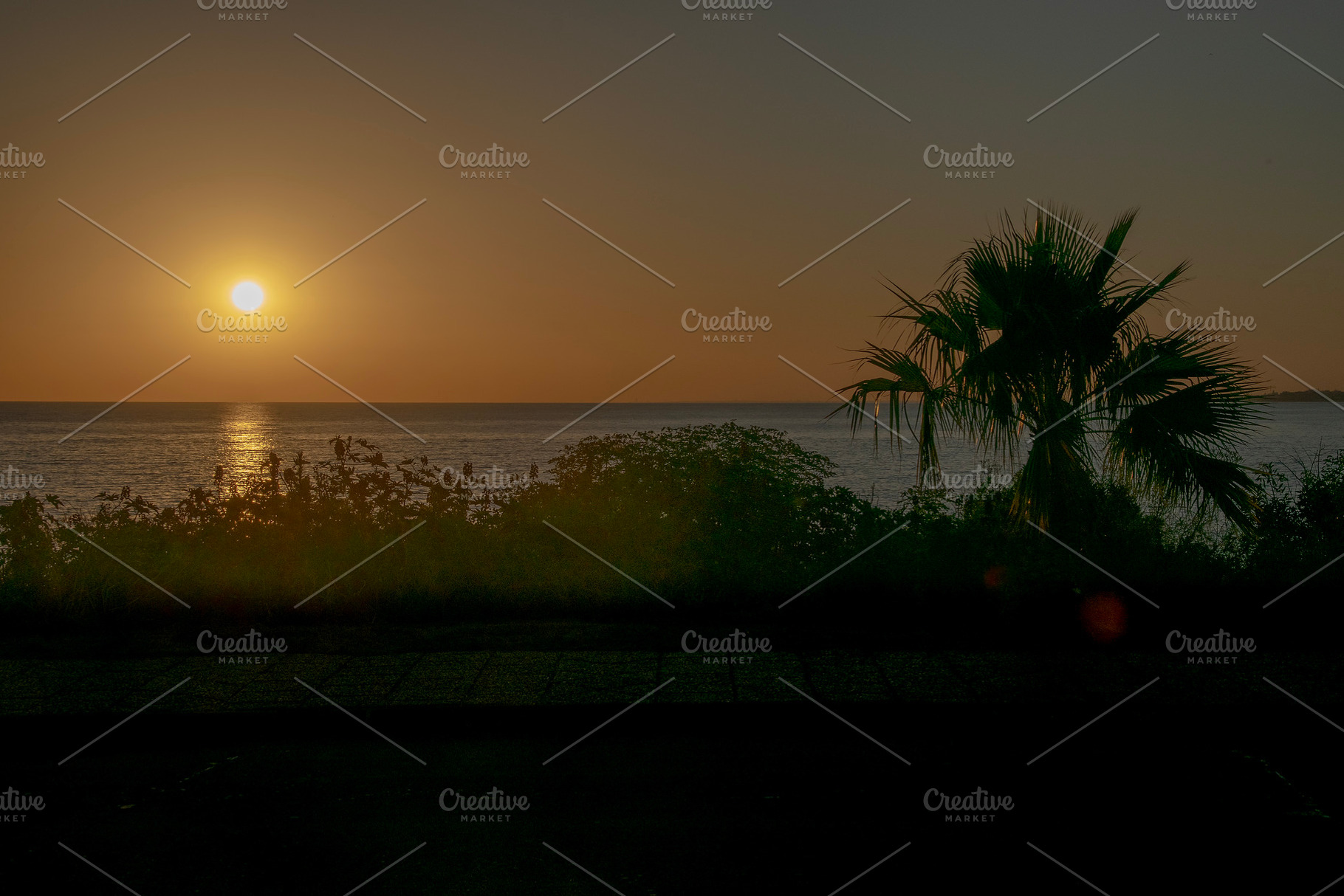 Sunset over the ocean with silhouetted palm trees, a Nature Photo by DanFLCreativo