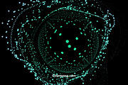 Cosmos, an Illustration by Colorpong (Thumbnail 2 of 10)