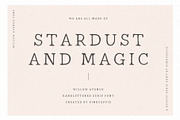 Willow Avenue | Hand lettered Serif, a Serif Font by Pink Coffie (Thumbnail 5 of 11)