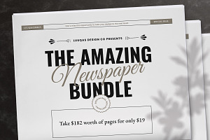 The Amazing Newspaper Bundle