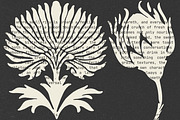 Floral Series Bundle: All 5 in 1, an Object Illustration by Veyla (Thumbnail 44 of 46)