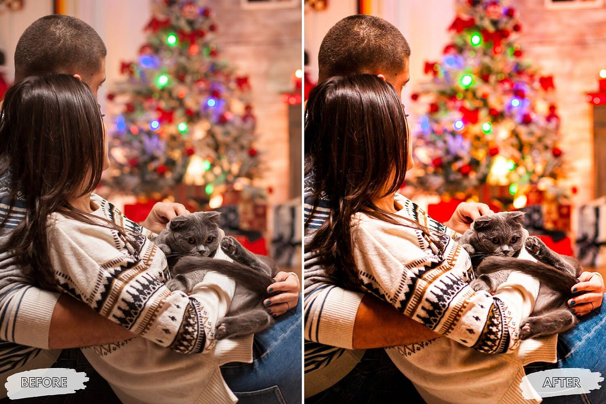 10 Curious Cat Lightroom Presets, a Preset Add-On by LucaTheme (Photo 4 of 9)