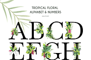 Tropical Foliage Watercolor set, a Decorative Illustration by Liliia Polos Illustration (Thumbnail 12 of 14)