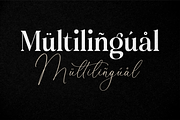 Molgiant Belliontera, a Serif Font by Storytype Studio (Thumbnail 10 of 15)