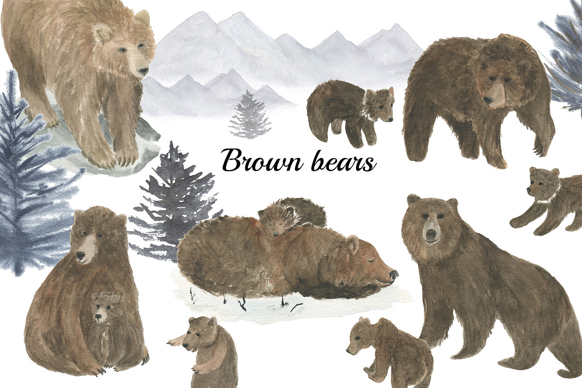 Brown bears - watercolor collection, an Animal Illustration by ramika (Photo 1 of 4)