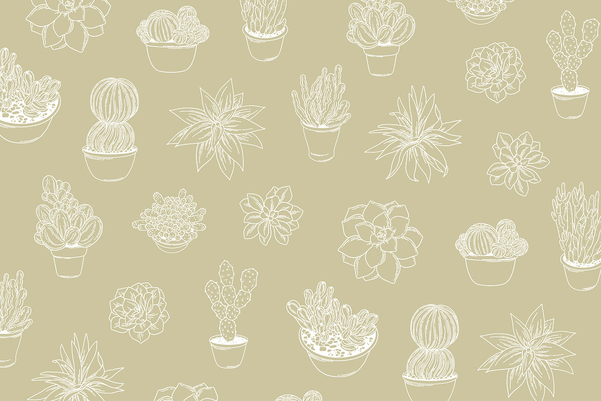 Succulents Vector Illustrations, a Decorative Illustration by Emma Webb Studio (Photo 5 of 6)