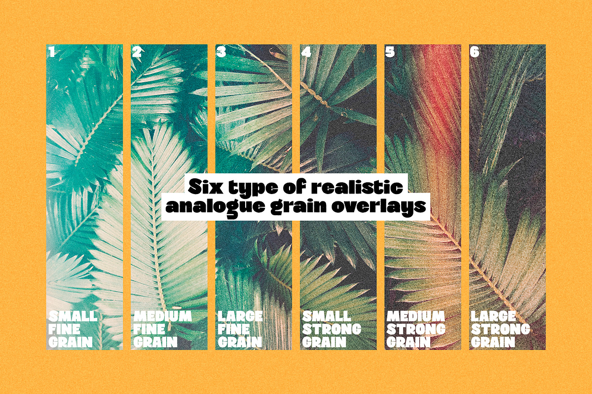 Master of Lomography • Creator, an Action Add-On by Vintage Voyage Supply (Photo 4 of 11)