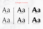 Eitel, a Serif Font by Rosario Nocera (Thumbnail 2 of 11)