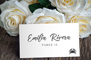 Meal Choice Icons - Vintage Texture, an Icon by BirDIY Design (Thumbnail 7 of 9)