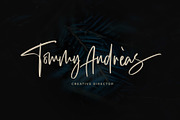 Exposedly - Classy Signature Font, a Script Font by Masanis (Thumbnail 3 of 18)