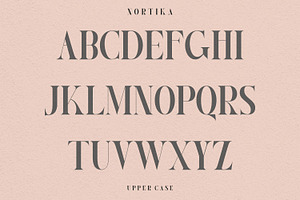 Nortika Serif Vintage Display