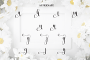 Hey Daisy | Script Font, a Handwritten Font by Scratchones (Thumbnail 8 of 9)