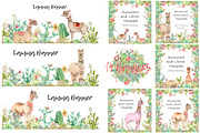 Lama in cactus collection, an Animal Illustration by IvanFet (Thumbnail 3 of 5)