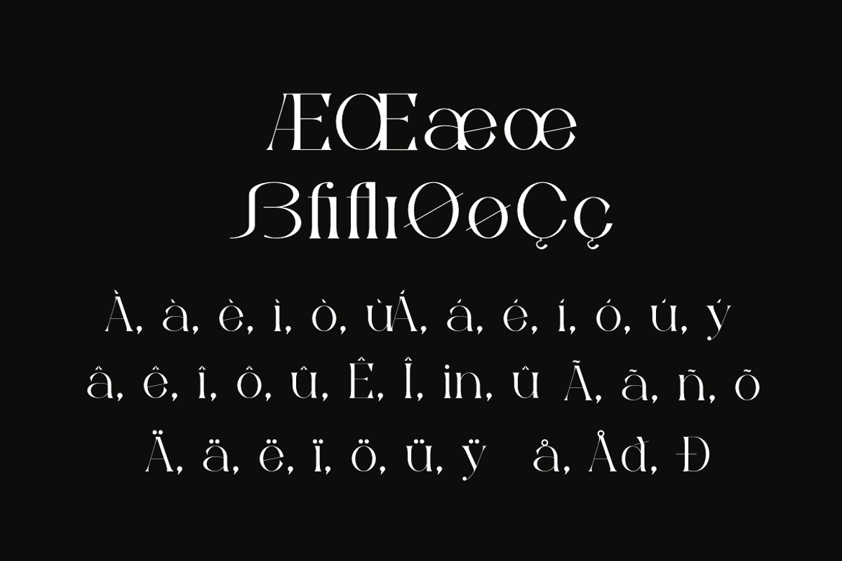 Bonuko - Modern Ligature Serif Font, a Serif Font by Iqsiart Studio (Photo 8 of 16)