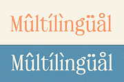 Realto – Classic Serif Font, a Serif Font by Tiptop Graphic (Thumbnail 5 of 9)