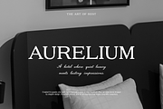 Maurice Textured Serif, a Serif Font by gafaroff studio (Thumbnail 2 of 7)
