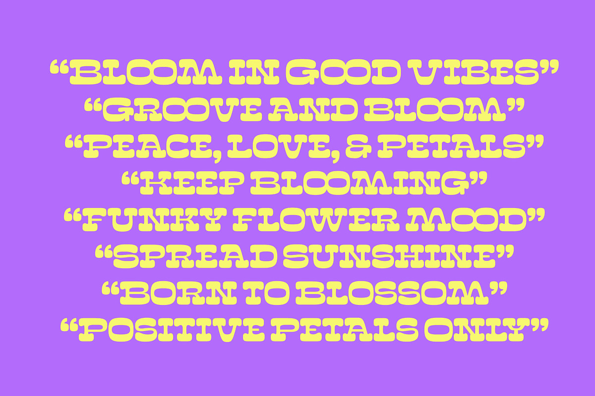 Sunny Groovy Retro Display Font, a Serif Font by timelesstype.co (Photo 4 of 20)