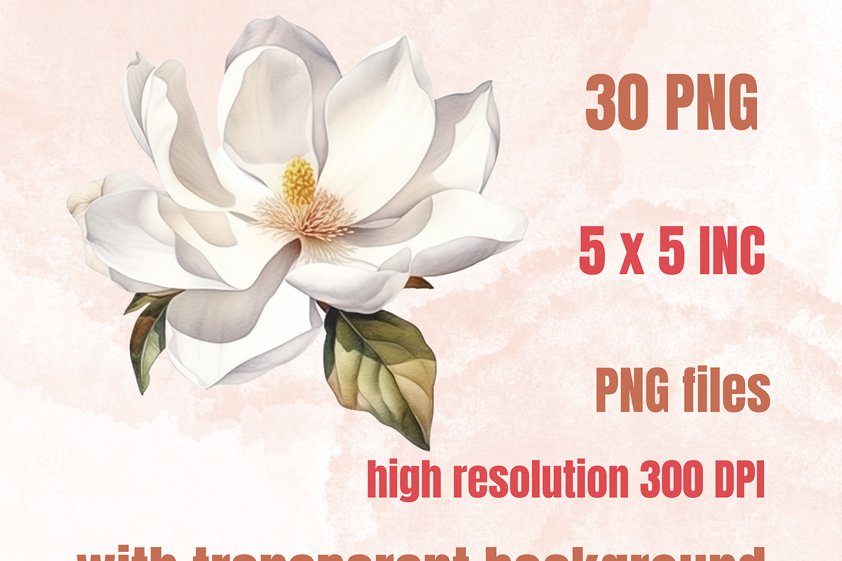Watercolor Magnolia Flowers Set, a Decorative Illustration by GiraffeCreative (Photo 2 of 8)