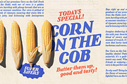 Saucy Ketchup! A Retro Serif, a Serif Font by Nicky Laatz (Thumbnail 13 of 20)