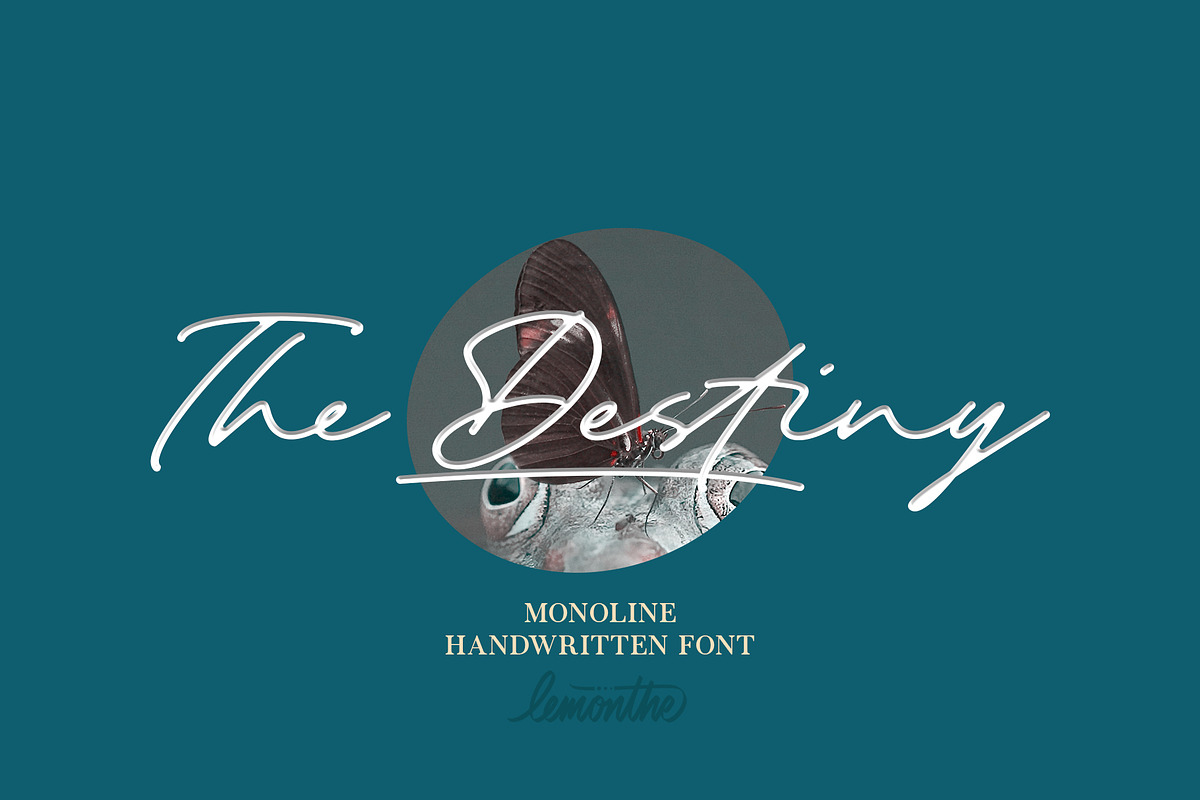 The Destiny | Monoline Script, a Script Font by Lemonthe (Photo 1 of 6)