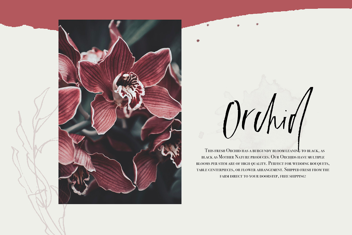 Euphoria | Handwritten Font preview 2