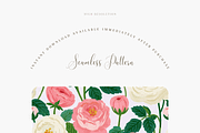 Blush Garden Roses Seamless Pattern, a Pattern Graphic by Pati Charm Studio (Thumbnail 2 of 6)