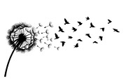 Dandelion Blow Silhouette Bundle, an Illustration by yasushie (Thumbnail 17 of 31)