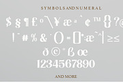 Marselind Serif font, a Sans Serif Font by josstype (Thumbnail 9 of 9)
